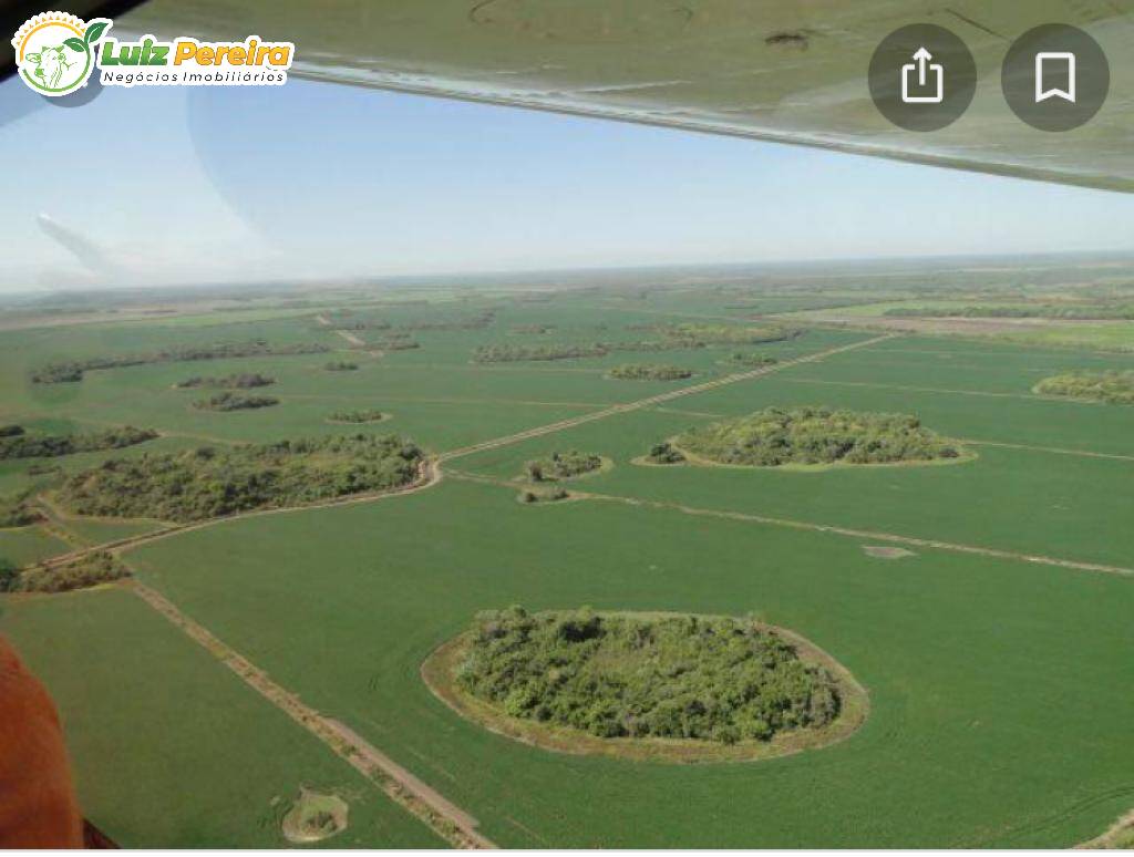 Fazenda-Sítio-Chácara, 3 hectares - Foto 1