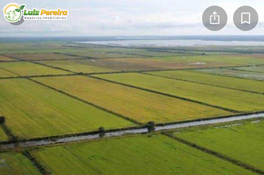 Terreno à venda, 29739m² - Foto 3