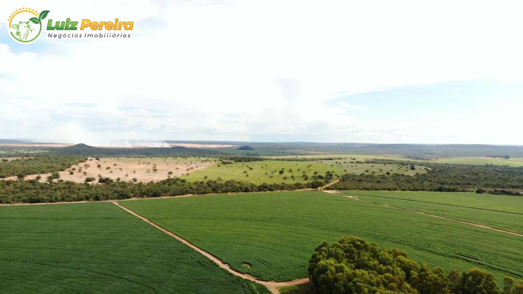 Fazenda-Sítio-Chácara, 2140 hectares - Foto 1