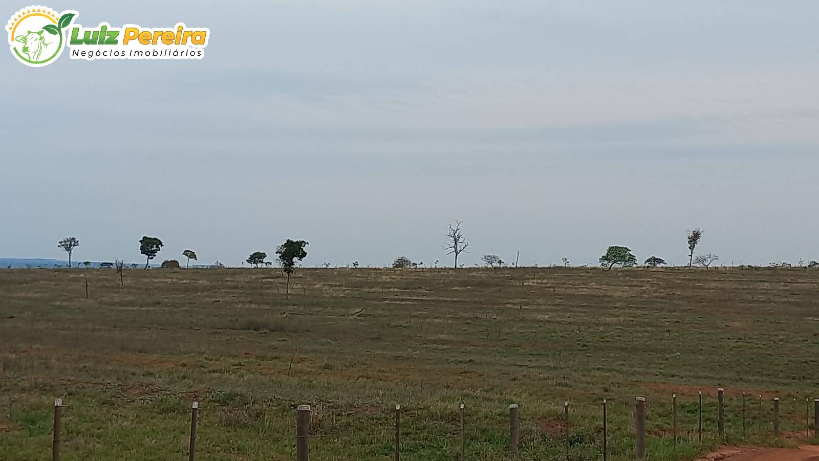 Fazenda-Sítio-Chácara, 2140 hectares - Foto 3