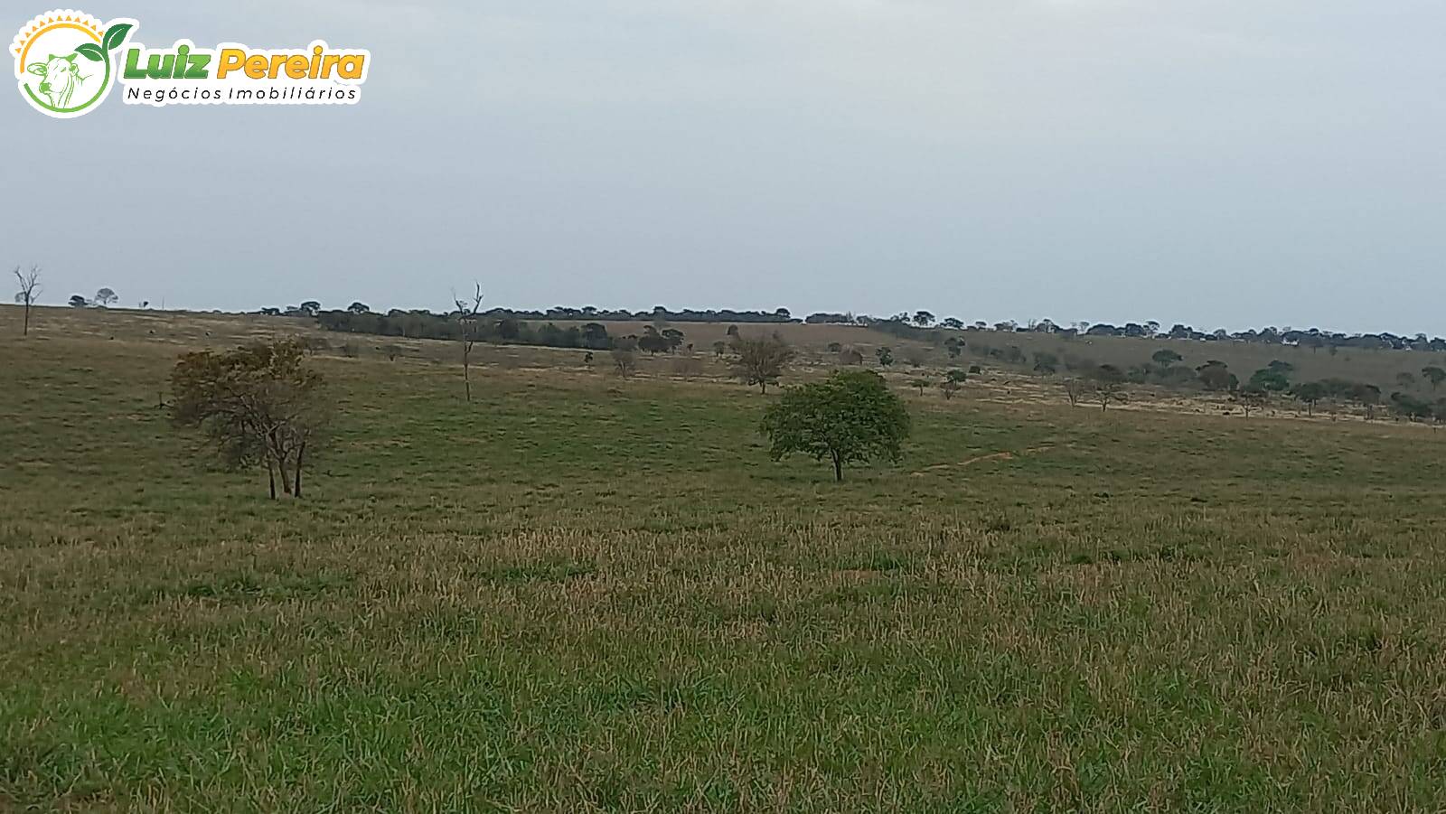 Fazenda-Sítio-Chácara, 2140 hectares - Foto 2