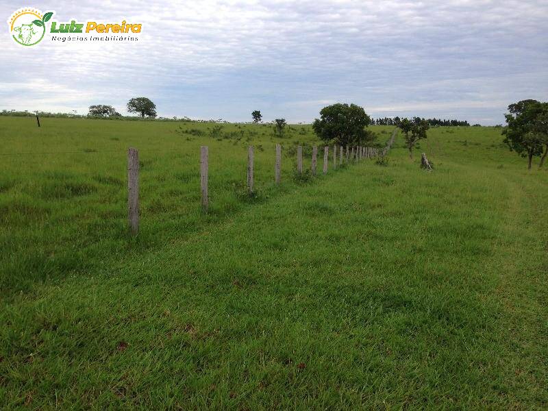 Terreno à venda, 1000m² - Foto 2