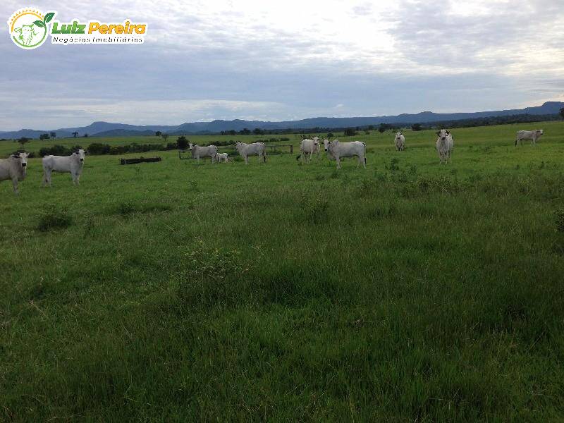 Terreno à venda, 1000m² - Foto 1