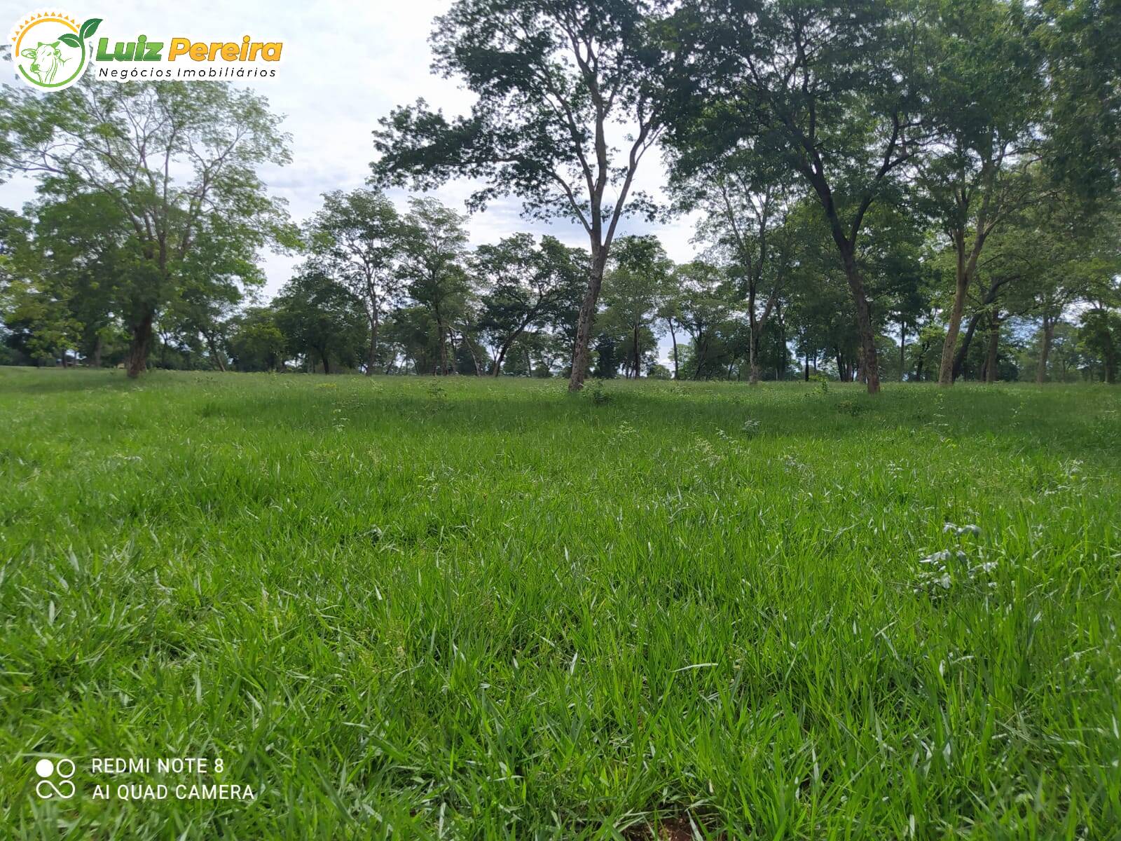 Terreno à venda, 2130000m² - Foto 3