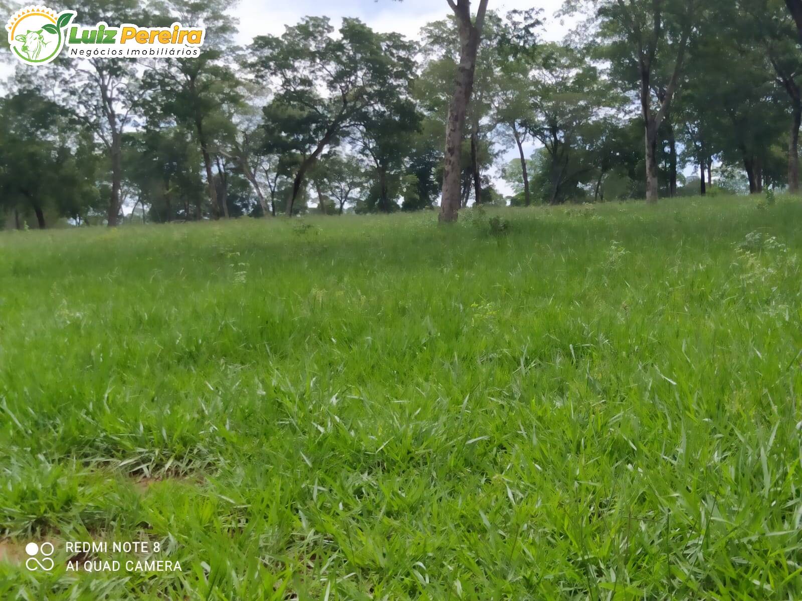 Terreno à venda, 2130000m² - Foto 4