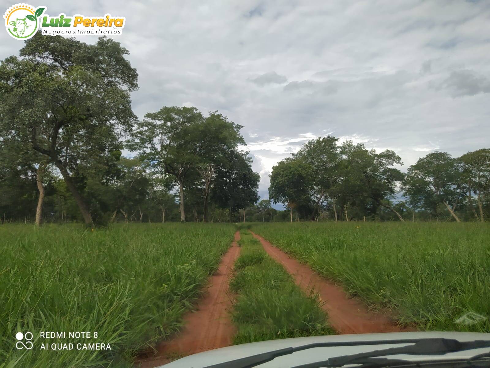 Terreno à venda, 2130000m² - Foto 9
