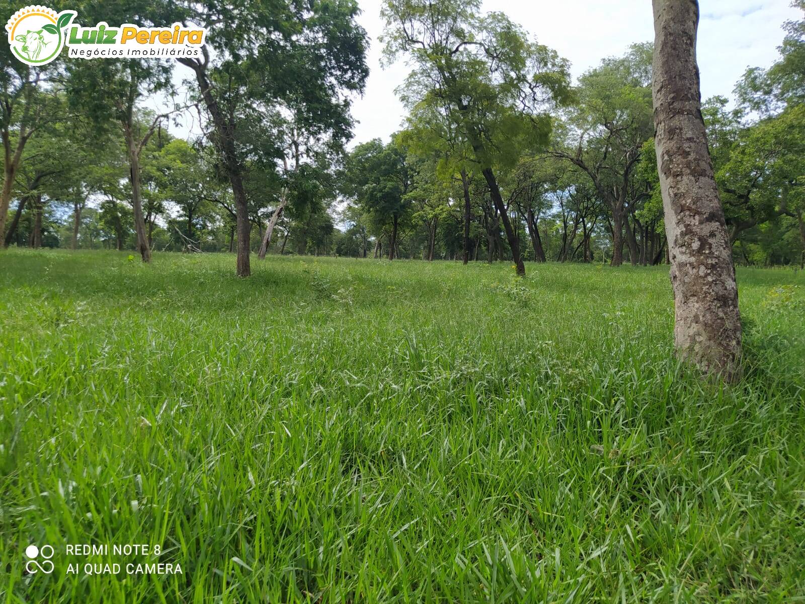 Terreno à venda, 2130000m² - Foto 7