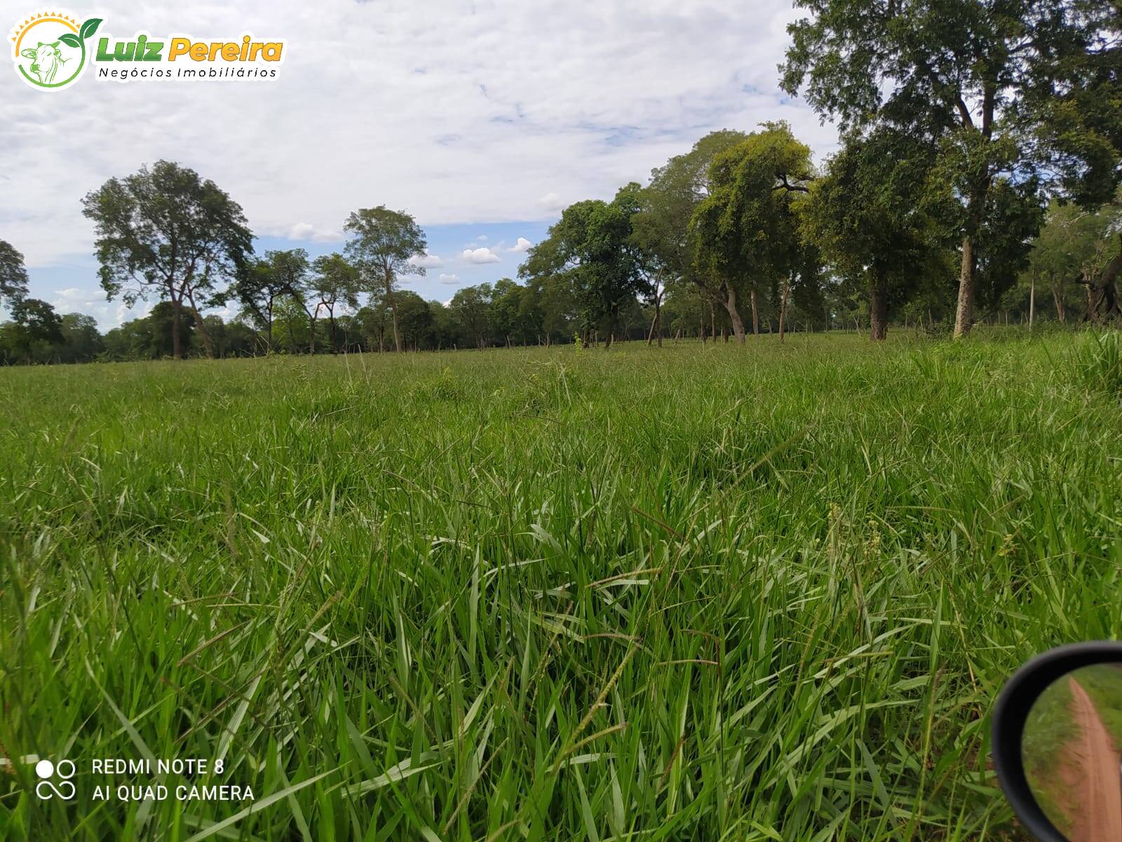 Terreno à venda, 2130000m² - Foto 5