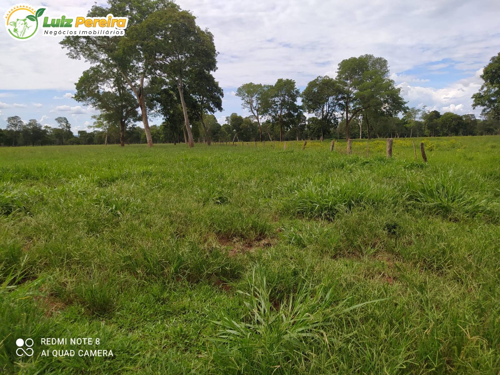 Terreno à venda, 2130000m² - Foto 1