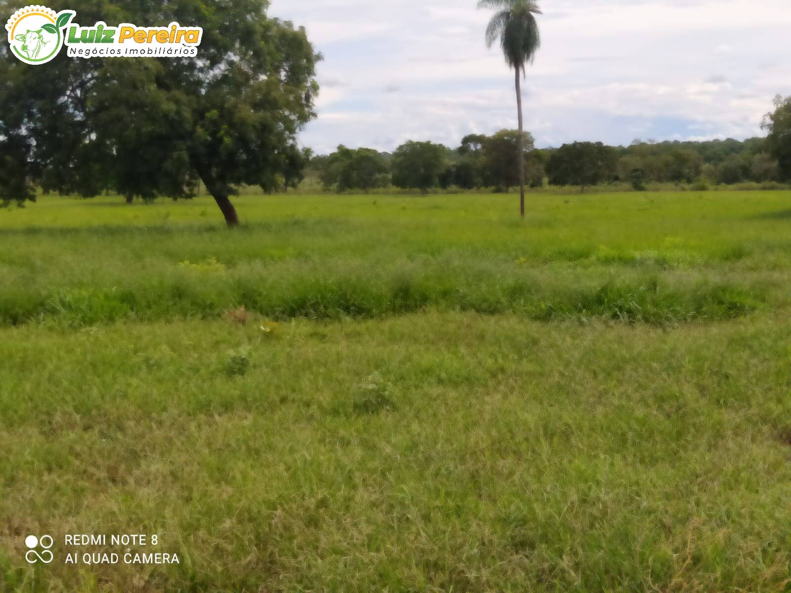 Terreno à venda, 2130000m² - Foto 15
