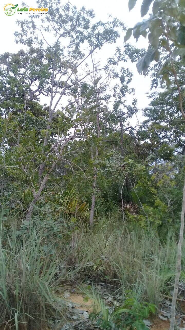Terreno à venda, 542m² - Foto 4