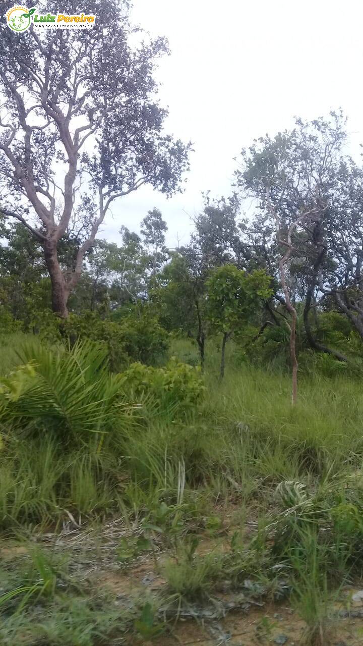 Terreno à venda, 542m² - Foto 5