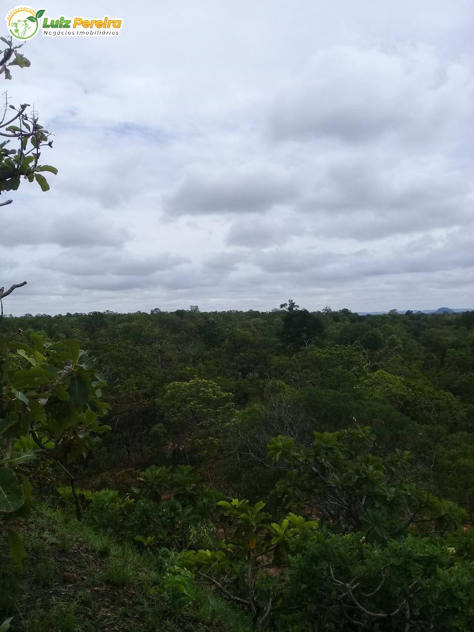 Terreno à venda, 542m² - Foto 6