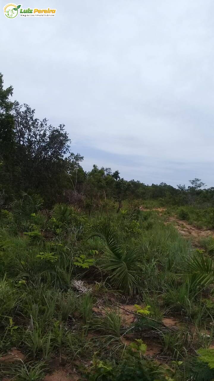 Terreno à venda, 542m² - Foto 3