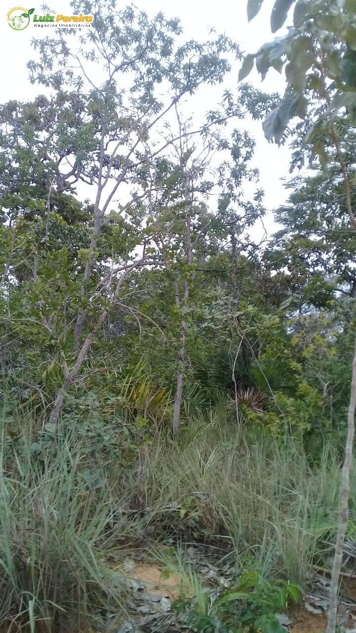 Terreno à venda, 542m² - Foto 2
