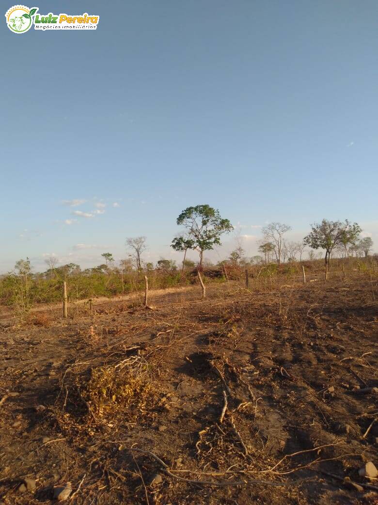 Terreno à venda, 4590000m² - Foto 2