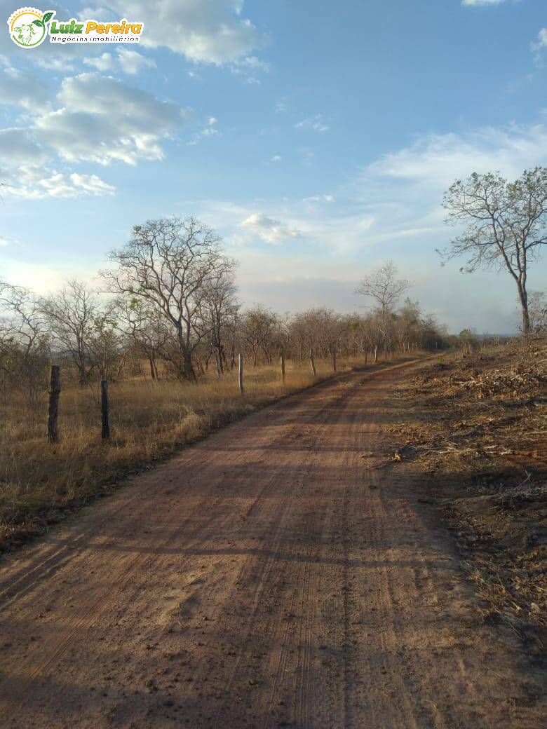 Terreno à venda, 4590000m² - Foto 3