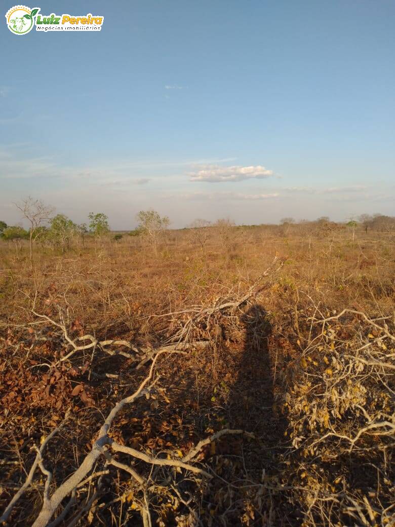Terreno à venda, 4590000m² - Foto 9
