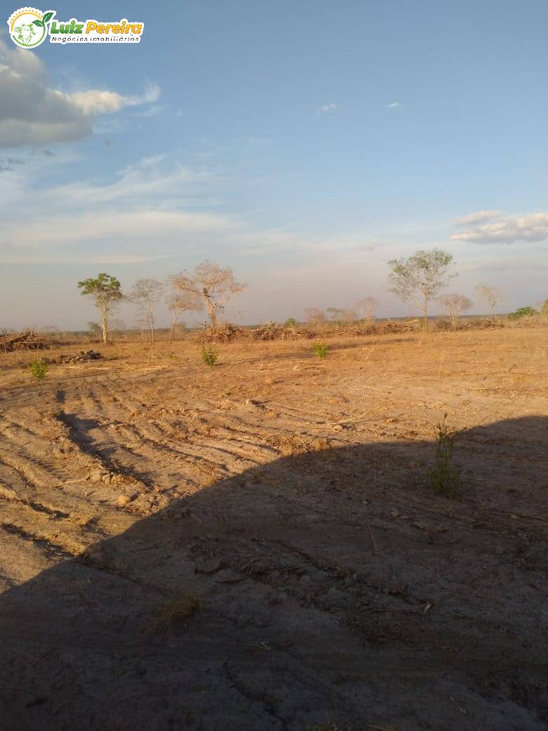 Terreno à venda, 4590000m² - Foto 8