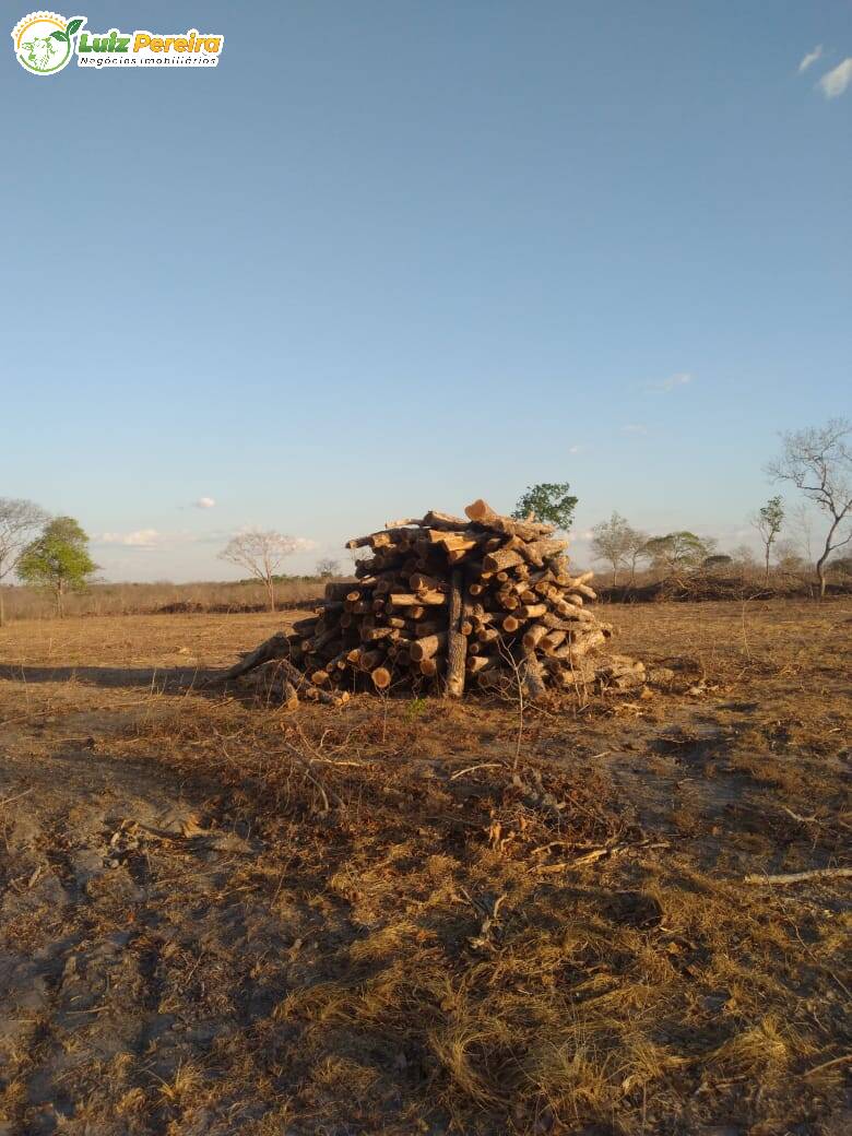 Terreno à venda, 4590000m² - Foto 7