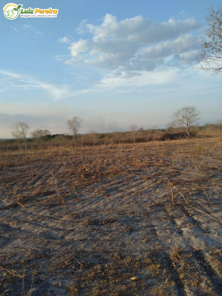 Terreno à venda, 4590000m² - Foto 4