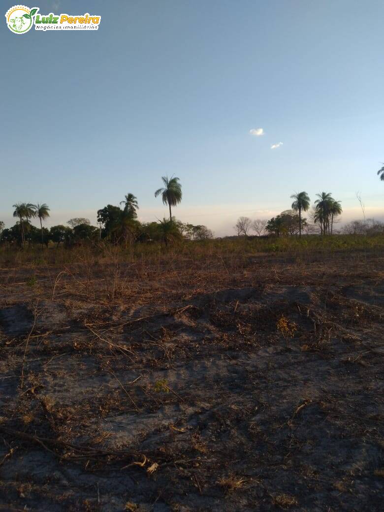 Terreno à venda, 4590000m² - Foto 12