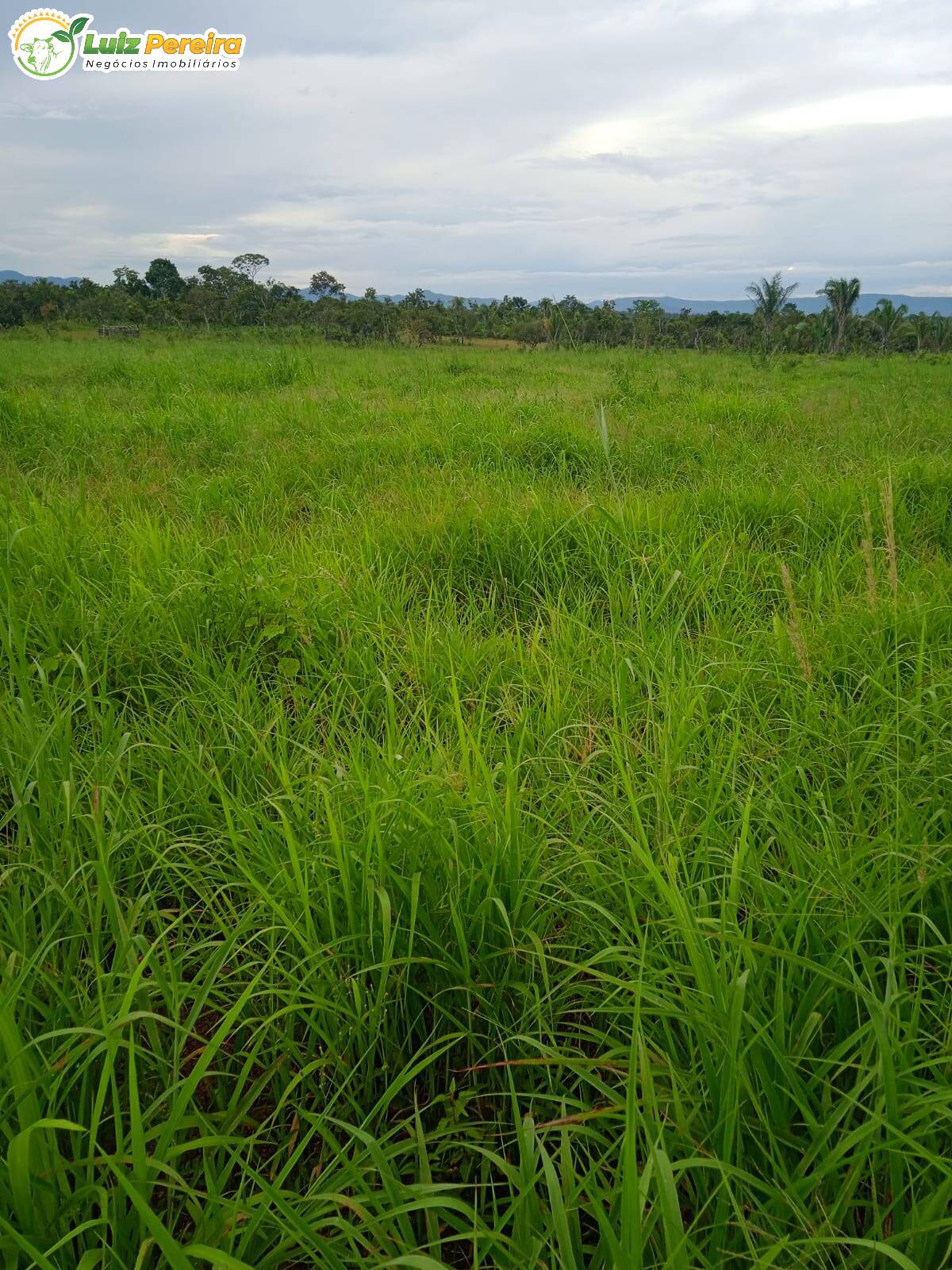 Terreno à venda, 5324000m² - Foto 3