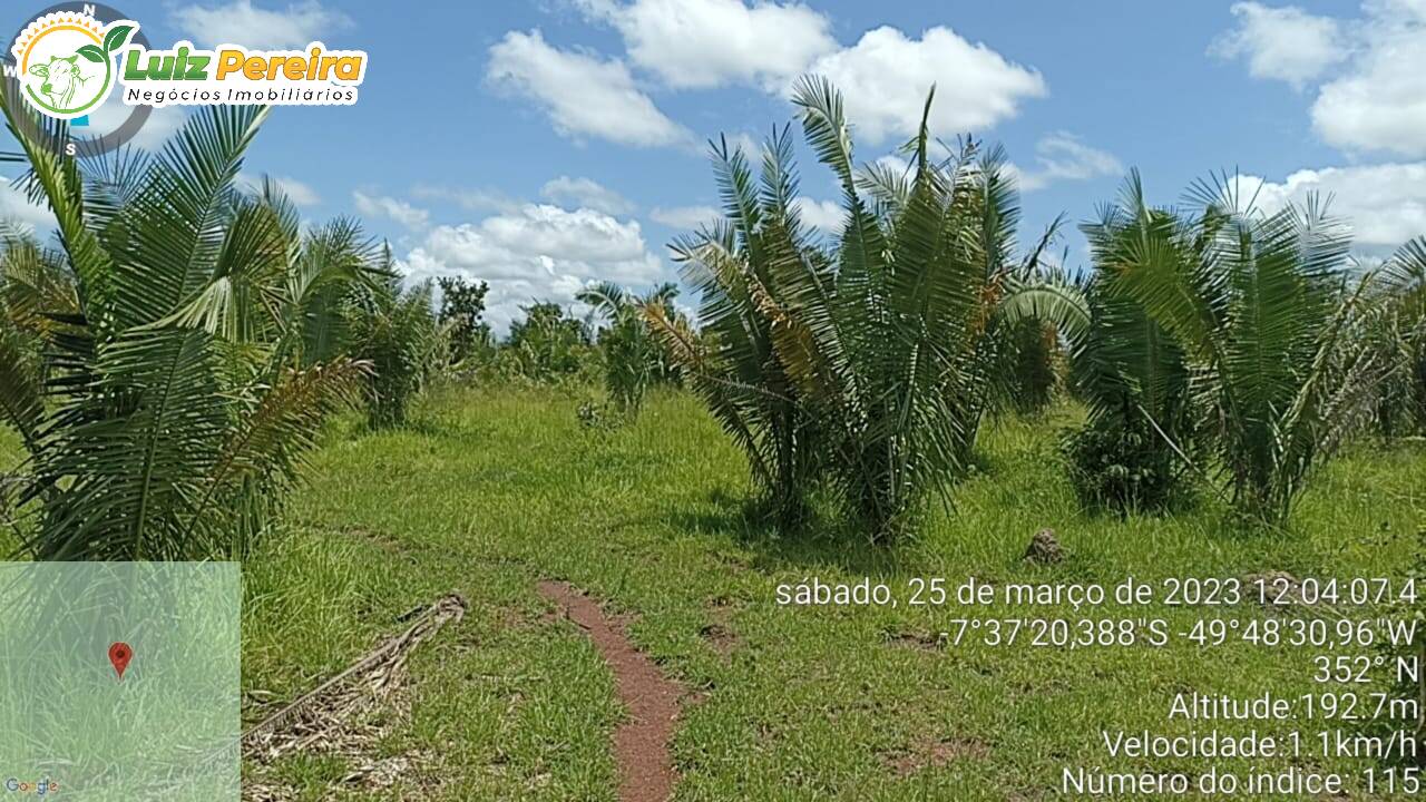 Terreno à venda, 5324000m² - Foto 2