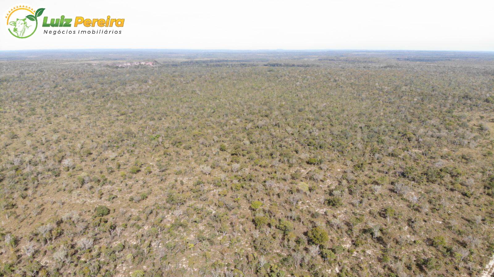 Terreno à venda, 51788000m² - Foto 2