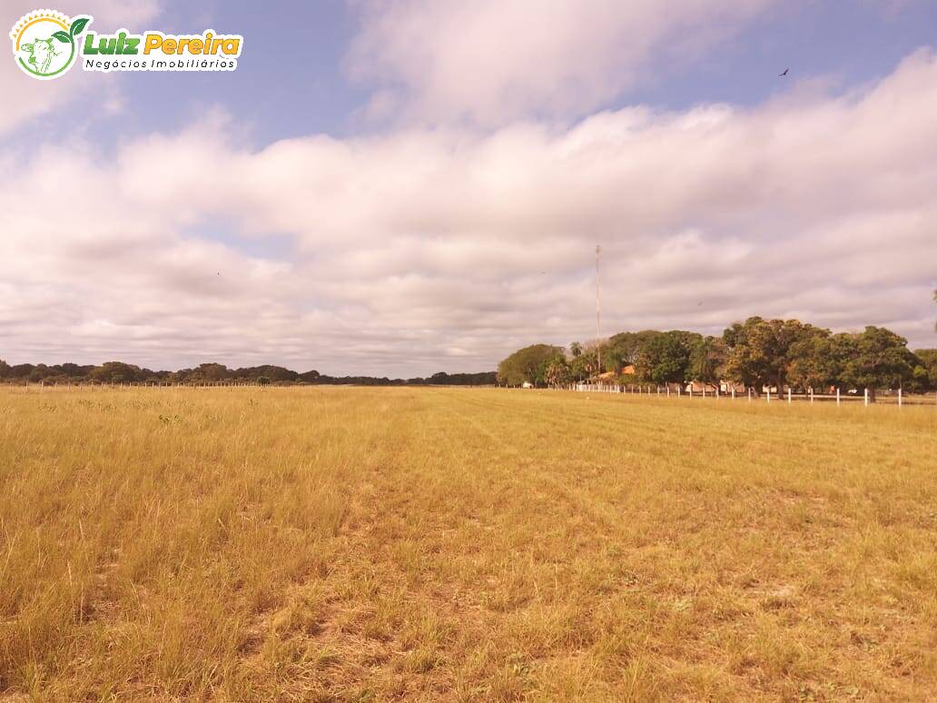 Terreno à venda, 49000000m² - Foto 11