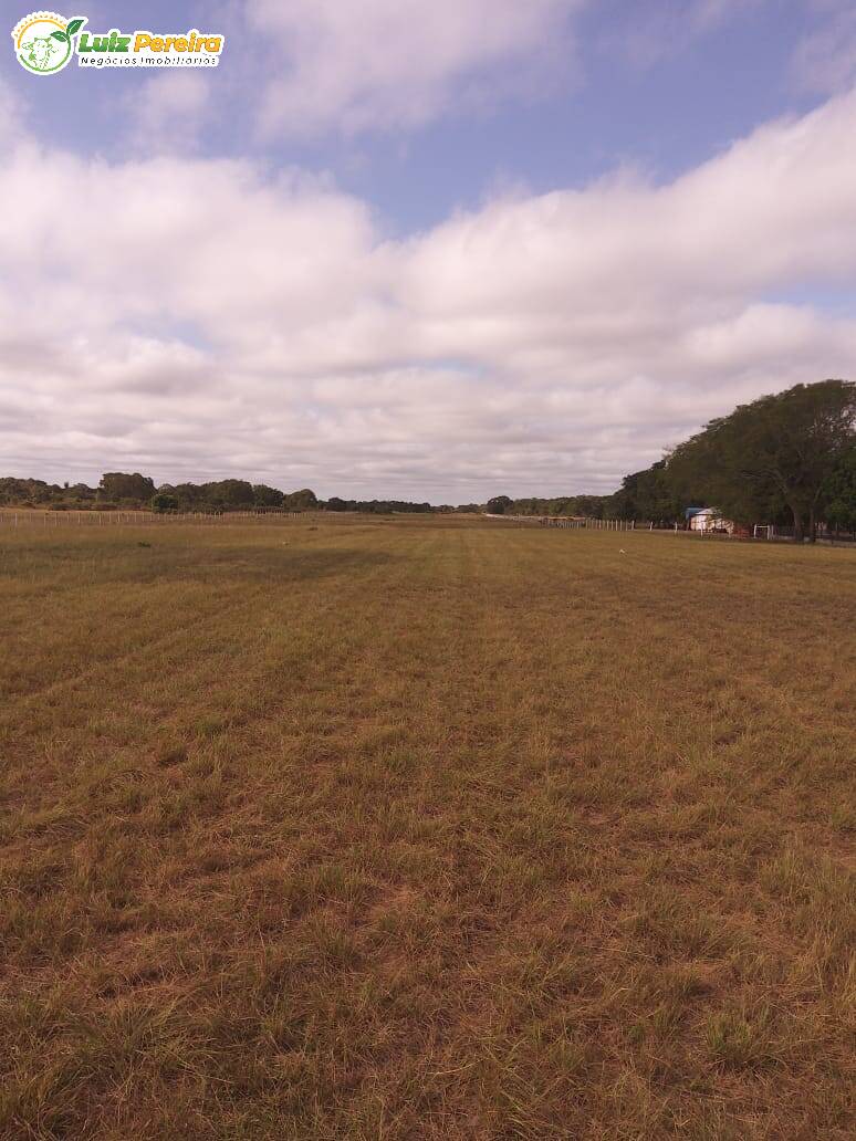 Terreno à venda, 49000000m² - Foto 13