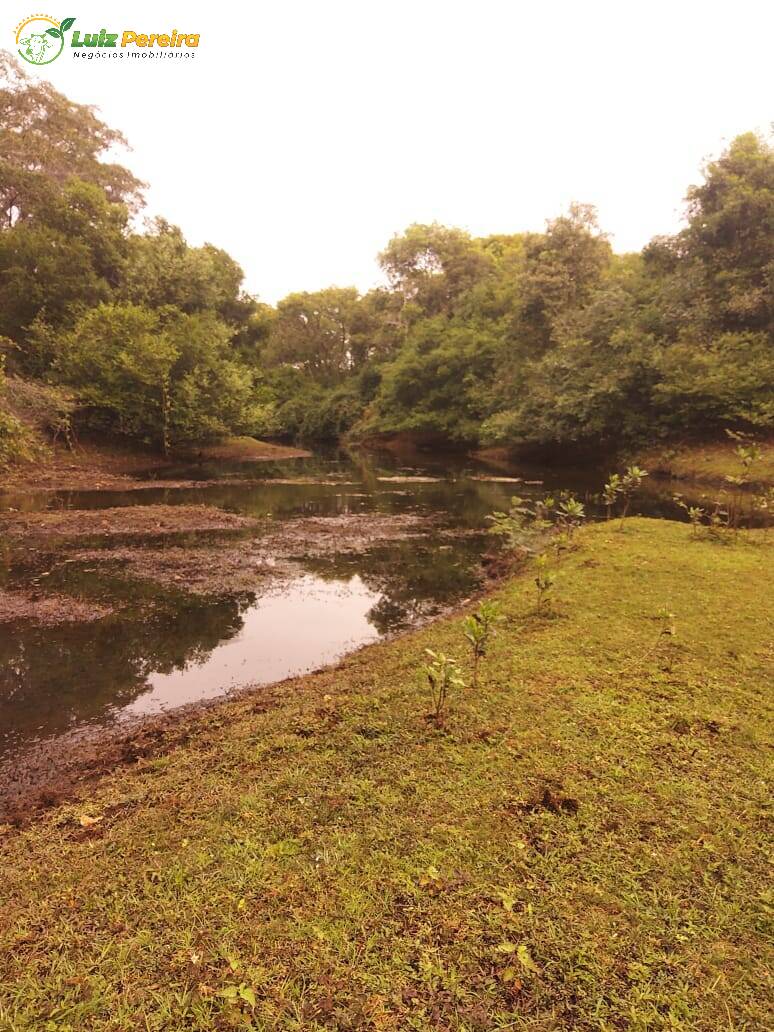 Terreno à venda, 49000000m² - Foto 3