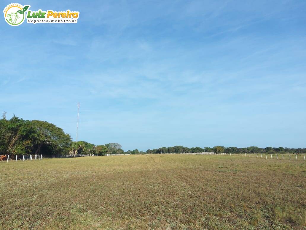 Terreno à venda, 49000000m² - Foto 6