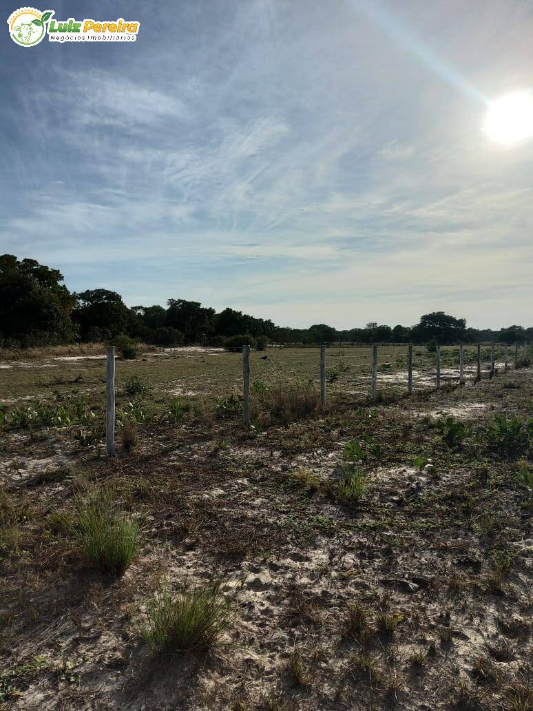 Terreno à venda, 49000000m² - Foto 7