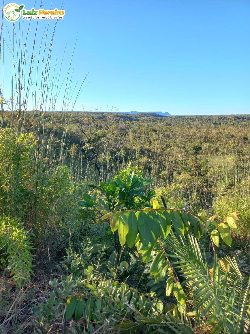 Terreno à venda, 1452m² - Foto 1