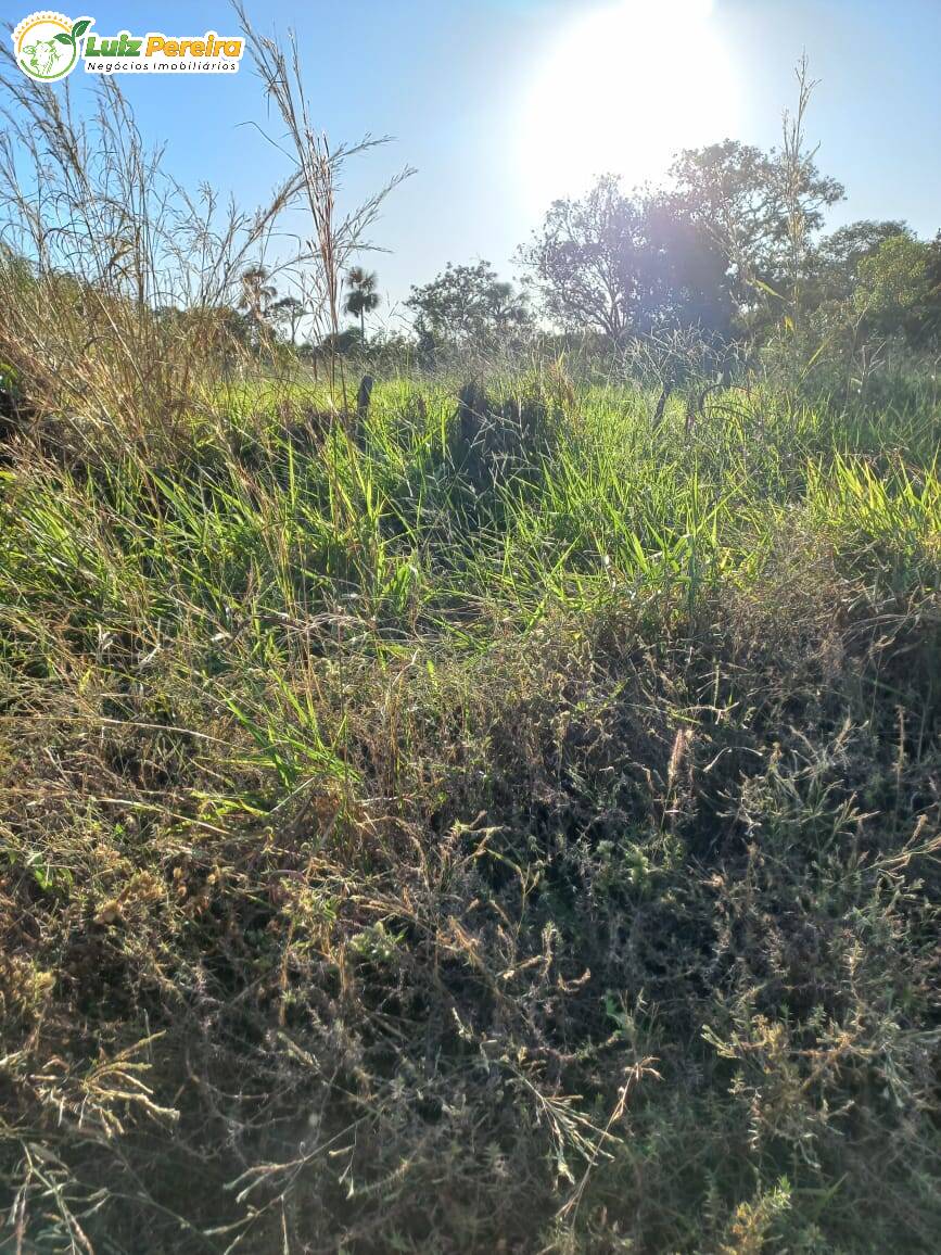 Terreno à venda, 1452m² - Foto 2