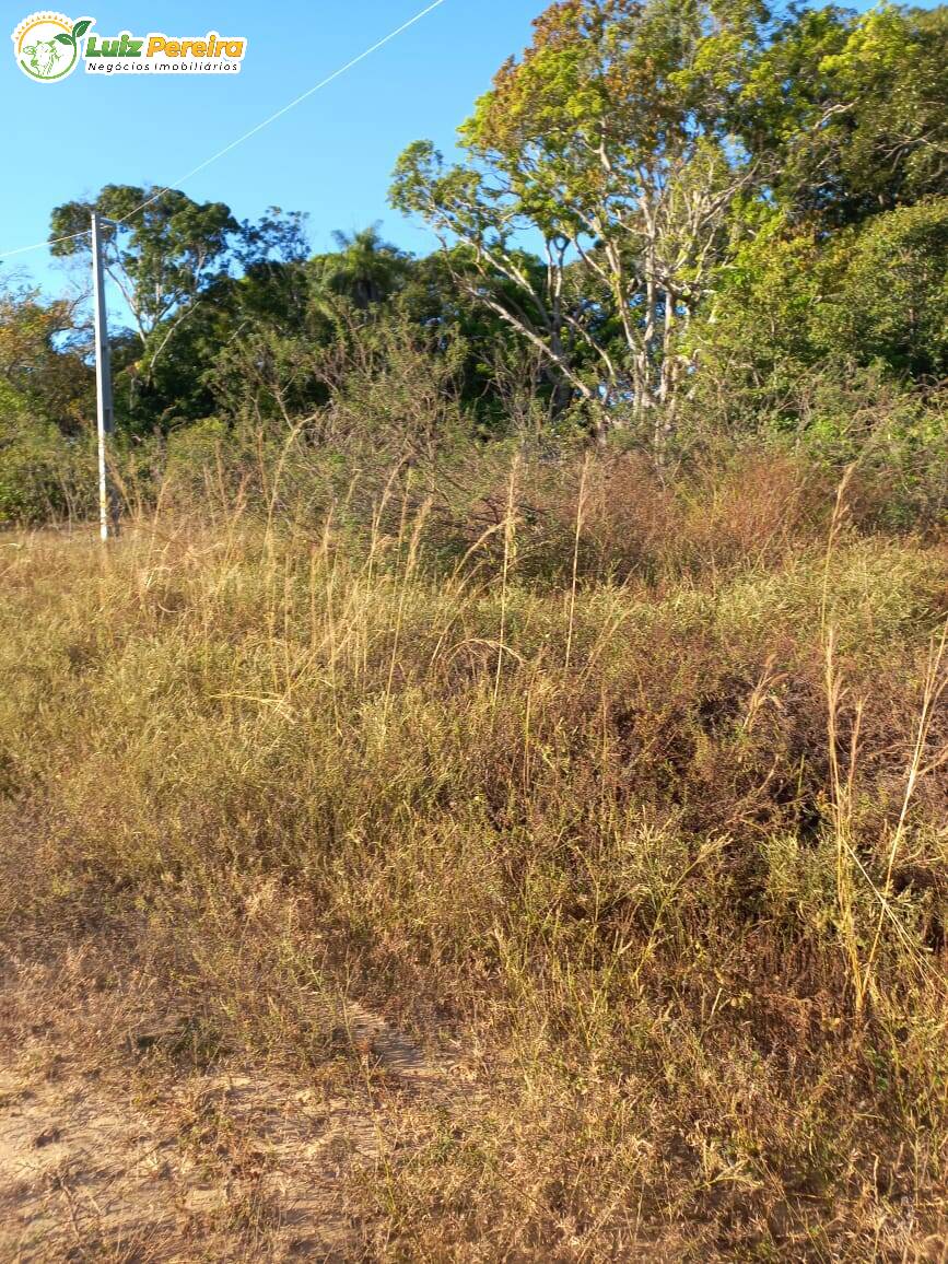 Terreno à venda, 1452m² - Foto 6