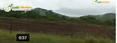 Terreno à venda, 1000m² - Foto 5