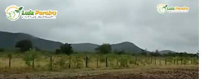 Terreno à venda, 1000m² - Foto 9