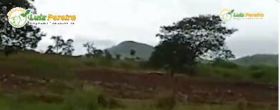 Terreno à venda, 1000m² - Foto 7