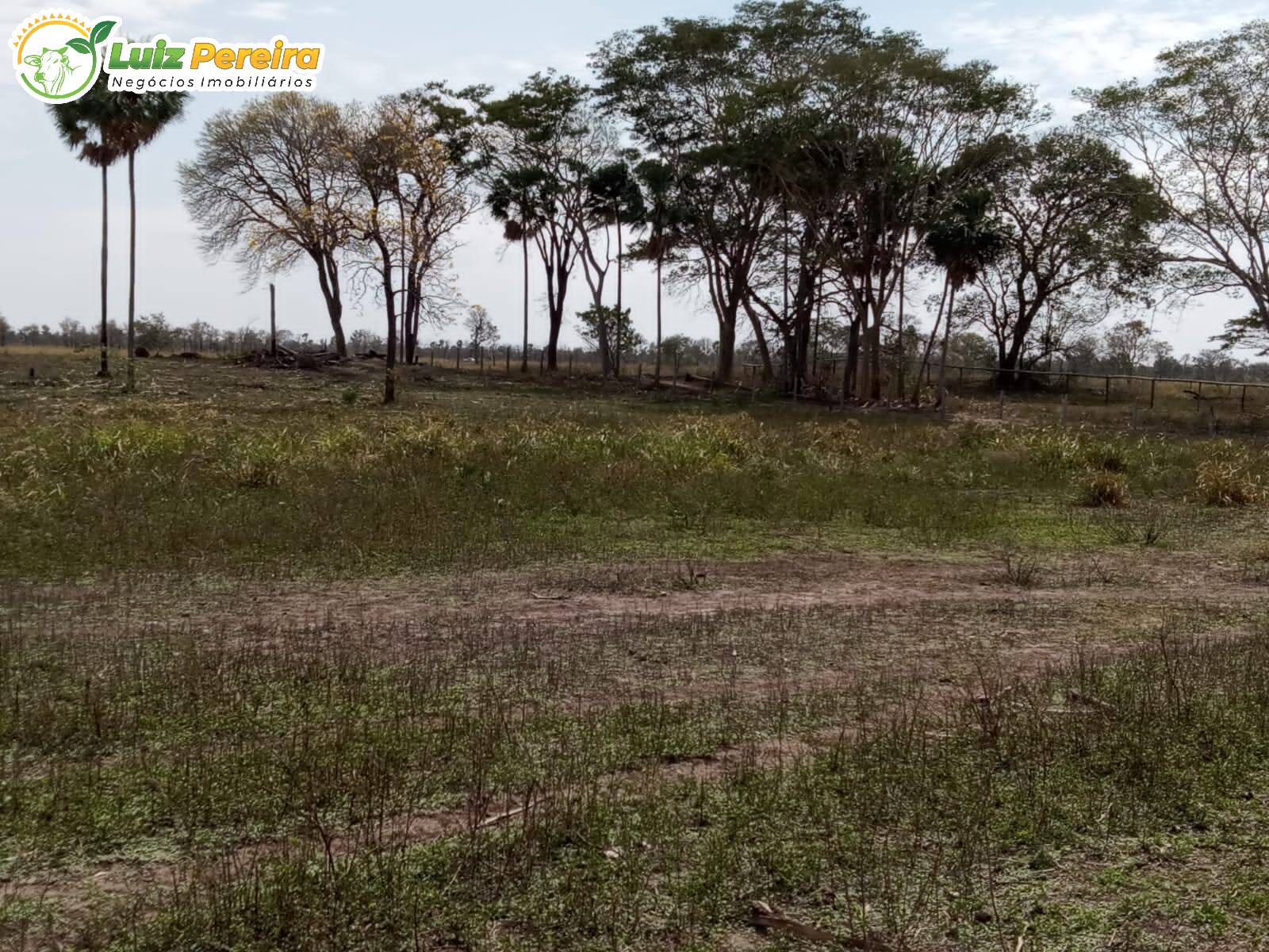 Terreno à venda, 2420m² - Foto 1