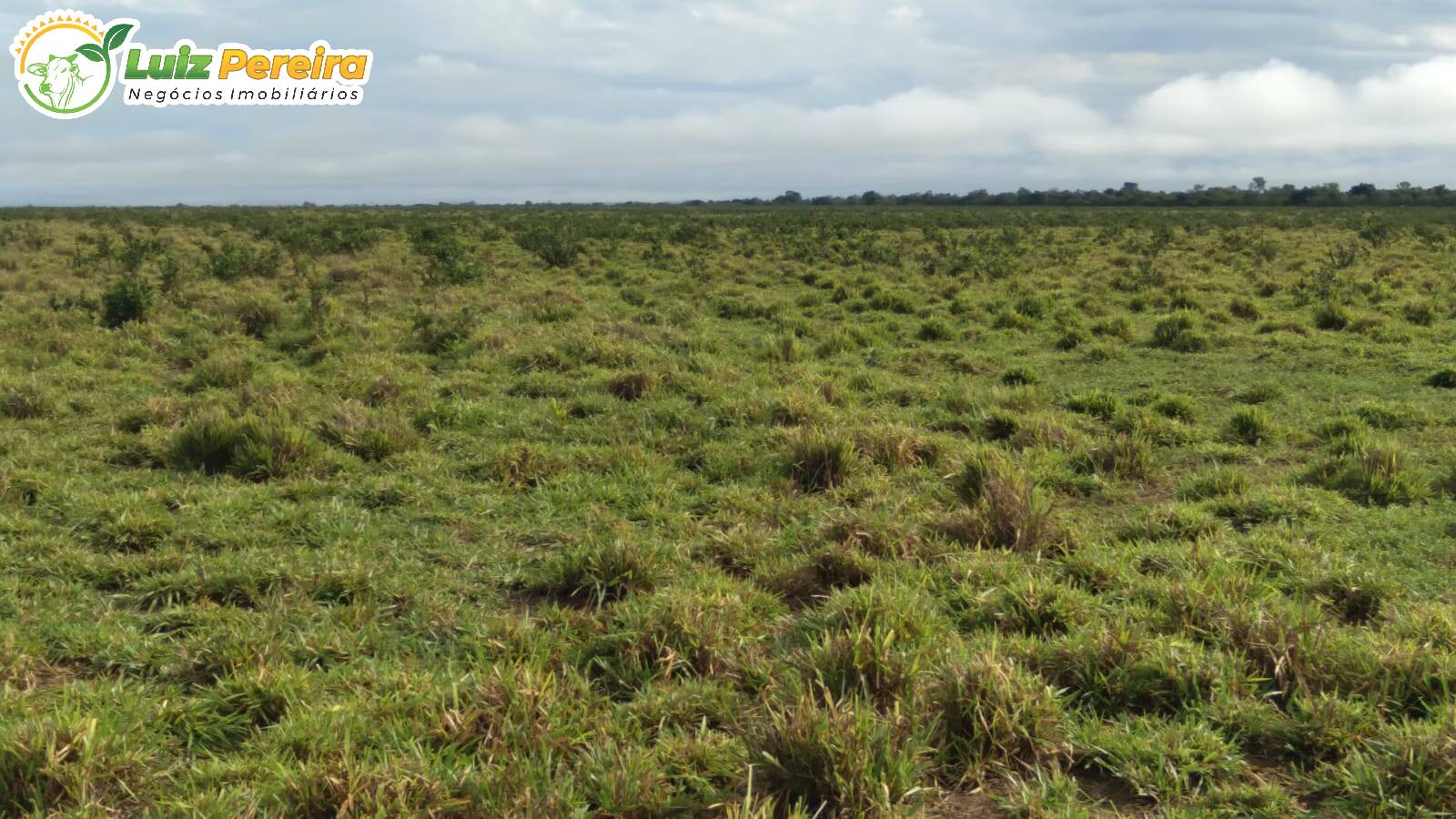 Terreno à venda, 1210m² - Foto 6