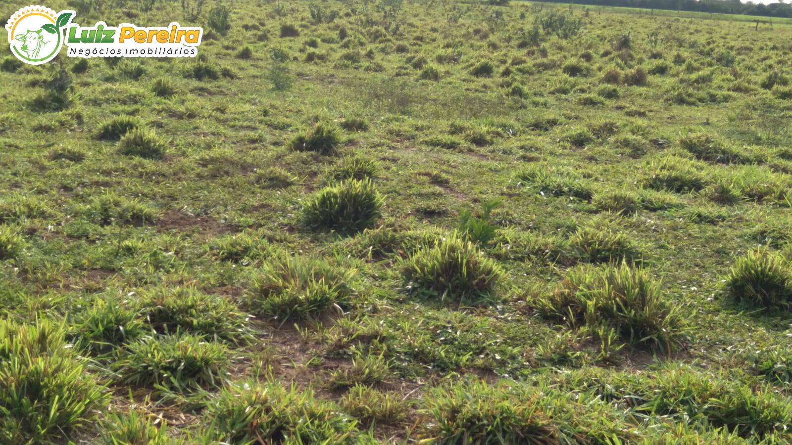Terreno à venda, 1210m² - Foto 8