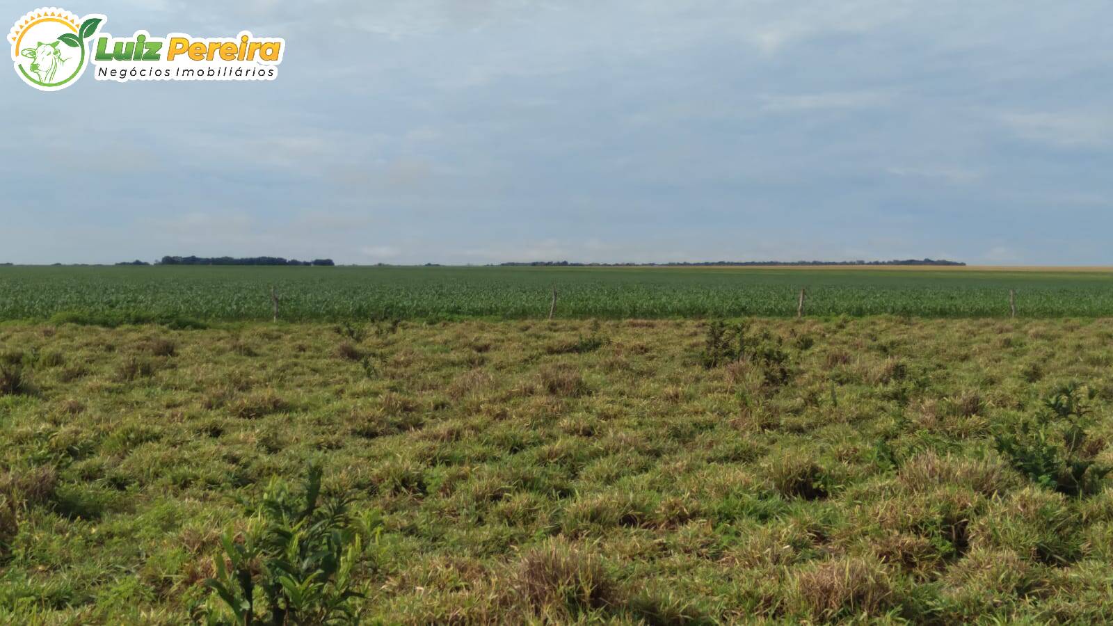 Terreno à venda, 1210m² - Foto 2
