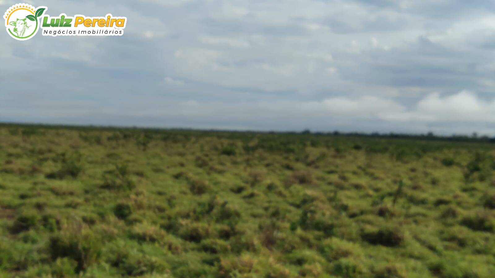 Terreno à venda, 1210m² - Foto 4