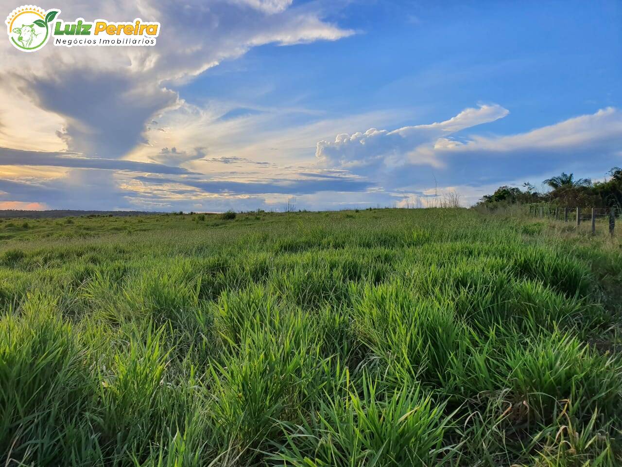 Terreno à venda, 914m² - Foto 6