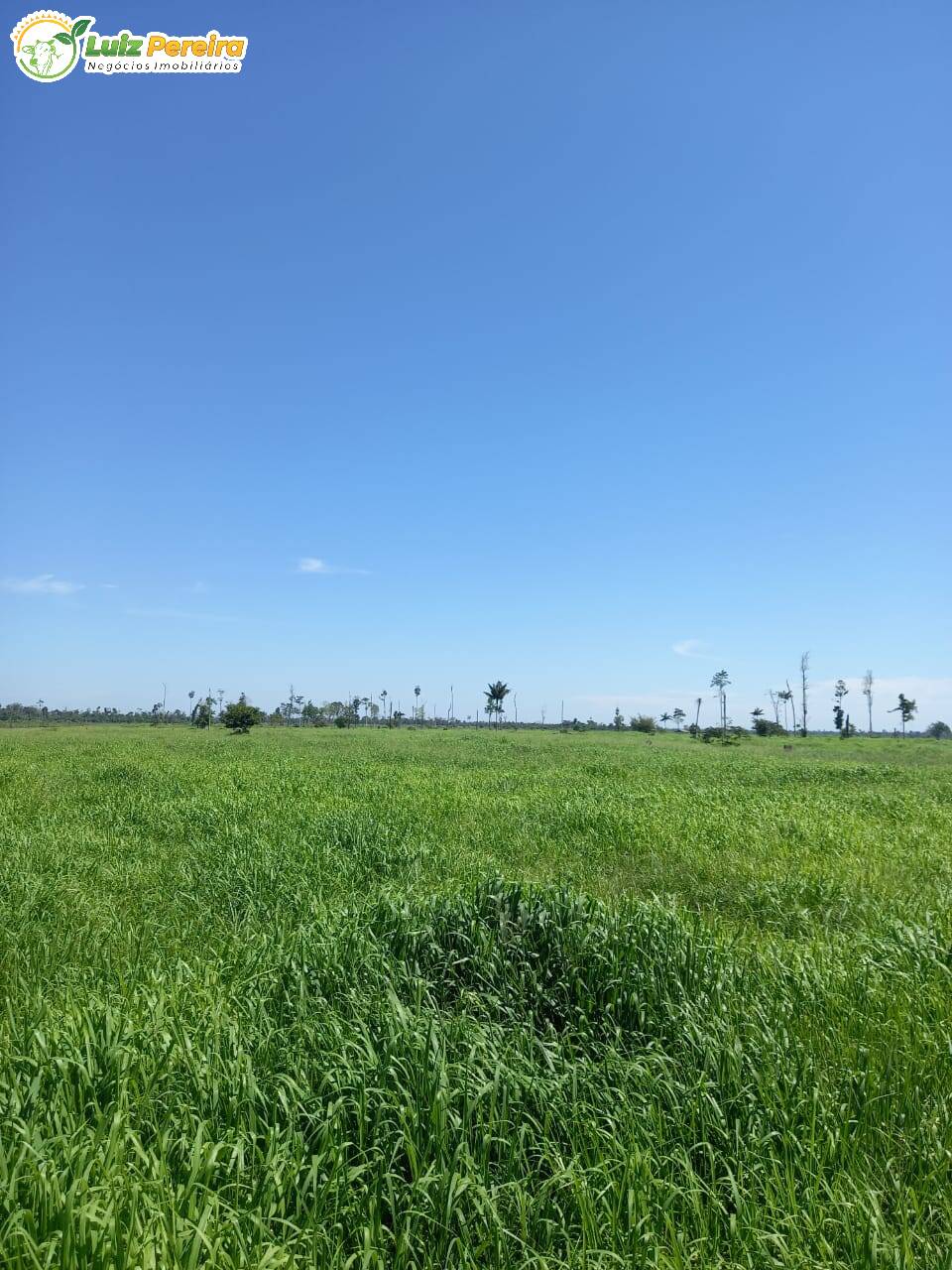 Terreno à venda, 914m² - Foto 11