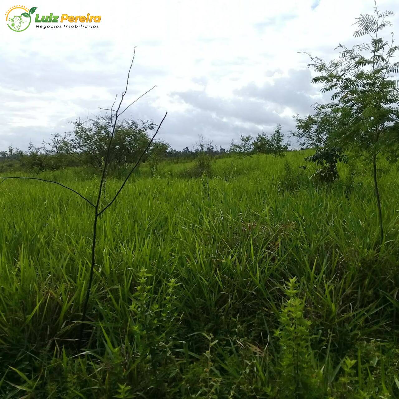 Terreno à venda, 914m² - Foto 12