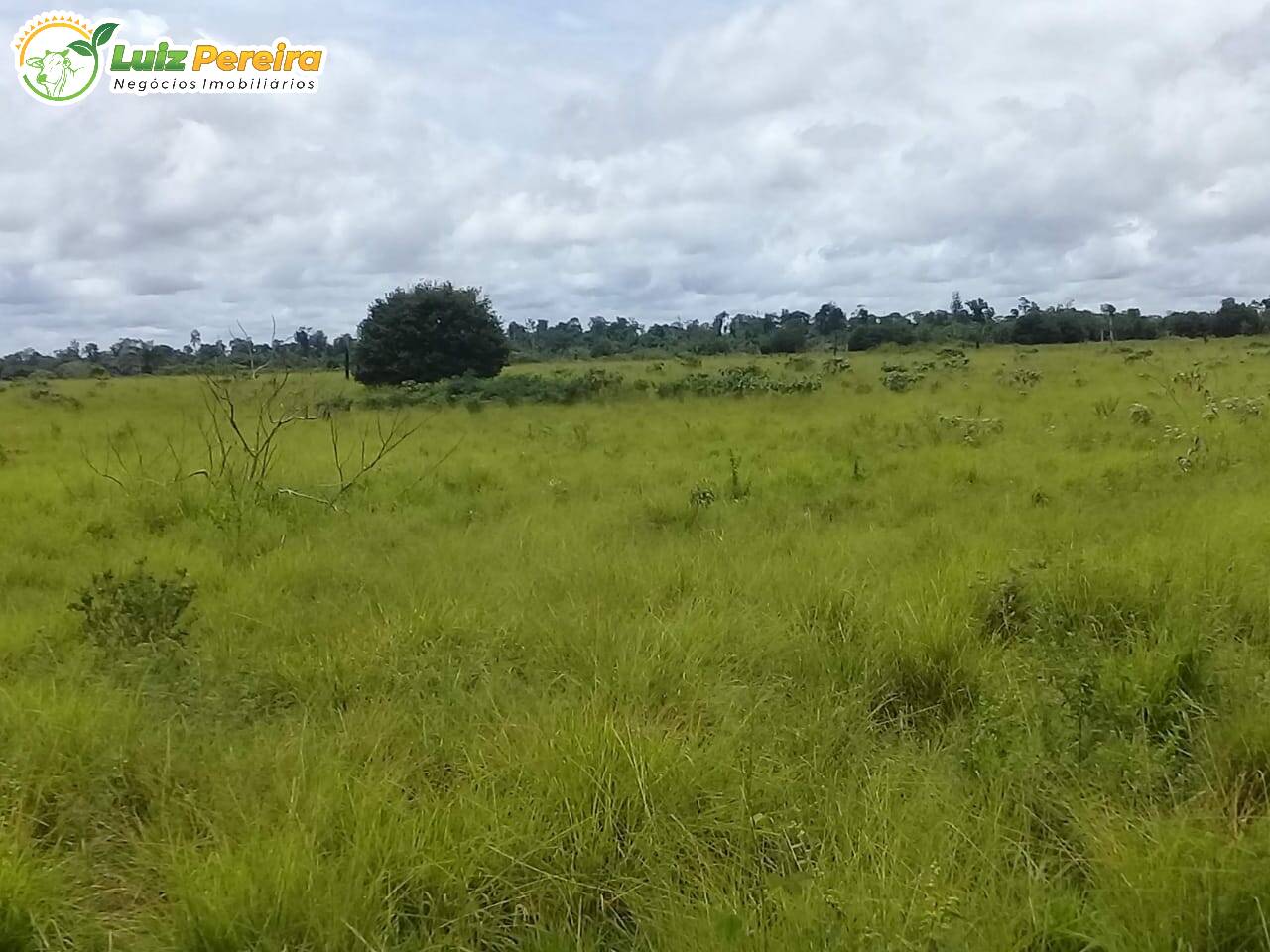 Terreno à venda, 914m² - Foto 14