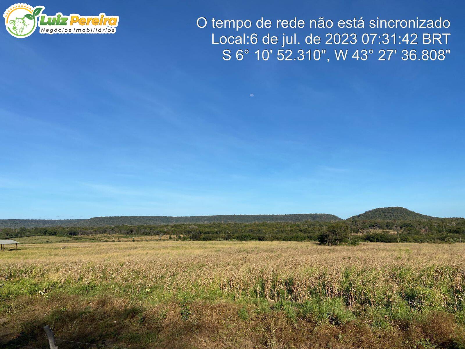 Terreno à venda, 8000m² - Foto 4